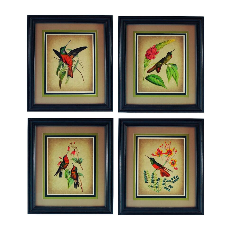 Grouping of Four Vintage Hummingbird Prints based on 1820 Audubon Illustrations